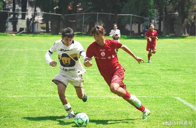 汽车大咖比亚迪力托：中国足球小将“世界杯”之行