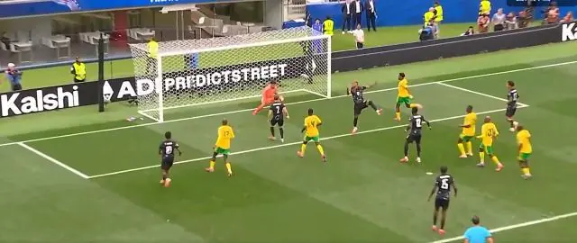 【世界杯】加拿大1比0南非进16强，欧斯塔基奥绝杀