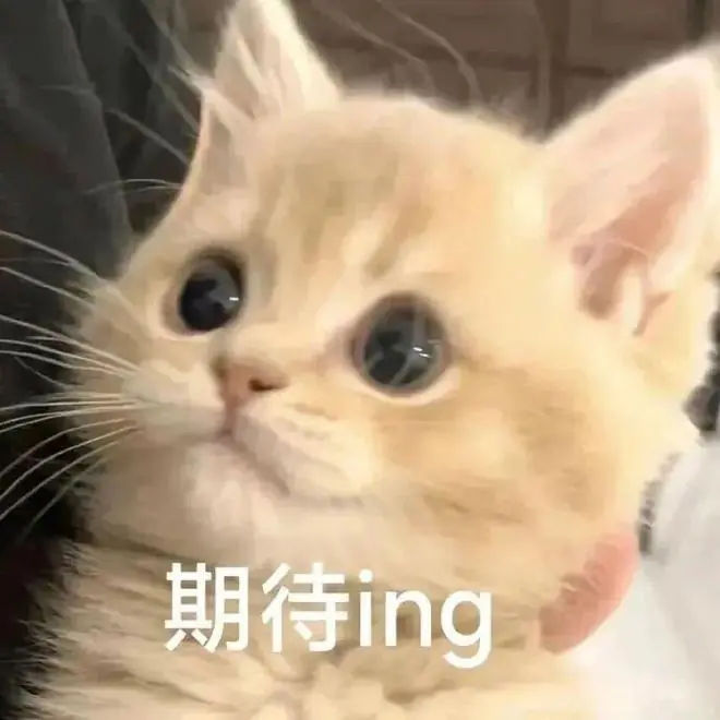 《足球周刊》2026下半年刊订阅开启，有机会得世界杯冠军队球衣！