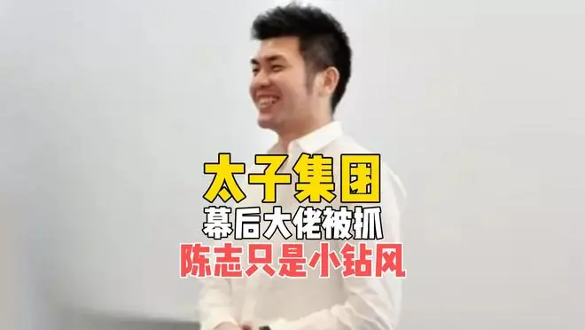 陈志只是小钻风，他才是山大王？太子集团“幕后大佬”被抓