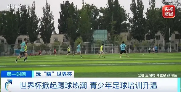 草坪“忙”起来了！订场率提升50%→
