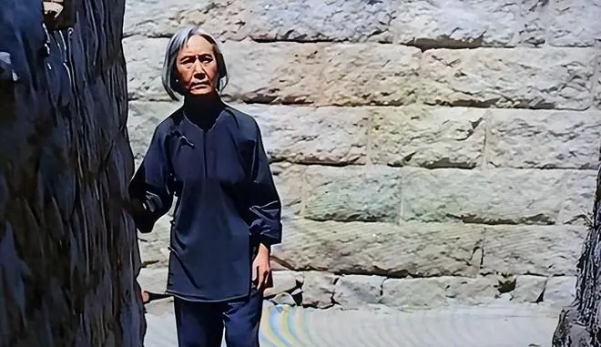 原来他俩已离婚，如今一个在日本孤独终老，一个在上海娶将军之女