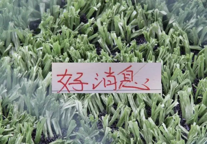 好消息！北京国安10号发文报平安 之前入选5月官方最佳候选人