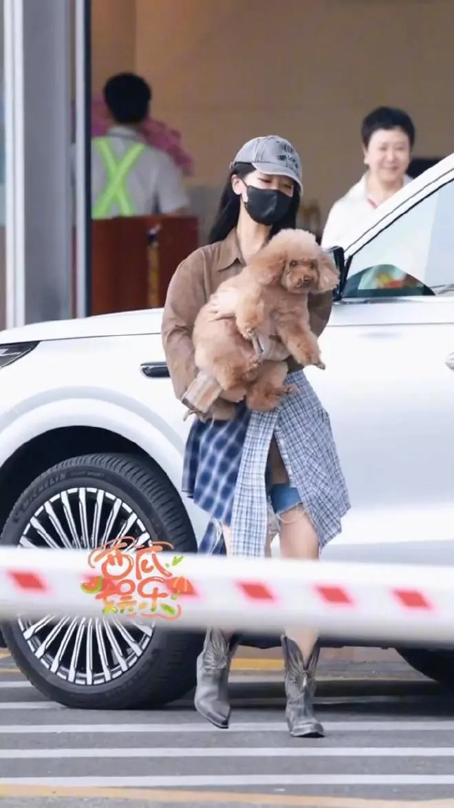杨紫现身机场，怀抱爱犬piupiu与影迷打招呼，网友：狗狗太萌了