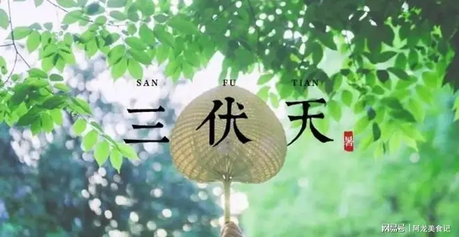 2026年三伏天要来了！2个坏消息，1个好消息，3个要注意，别大意