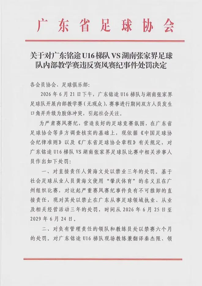 “14岁小球员遭对手球队殴打”，两省足协发布处罚通报