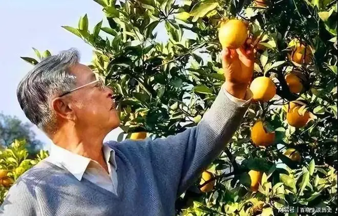 当年为什么查办褚时健？