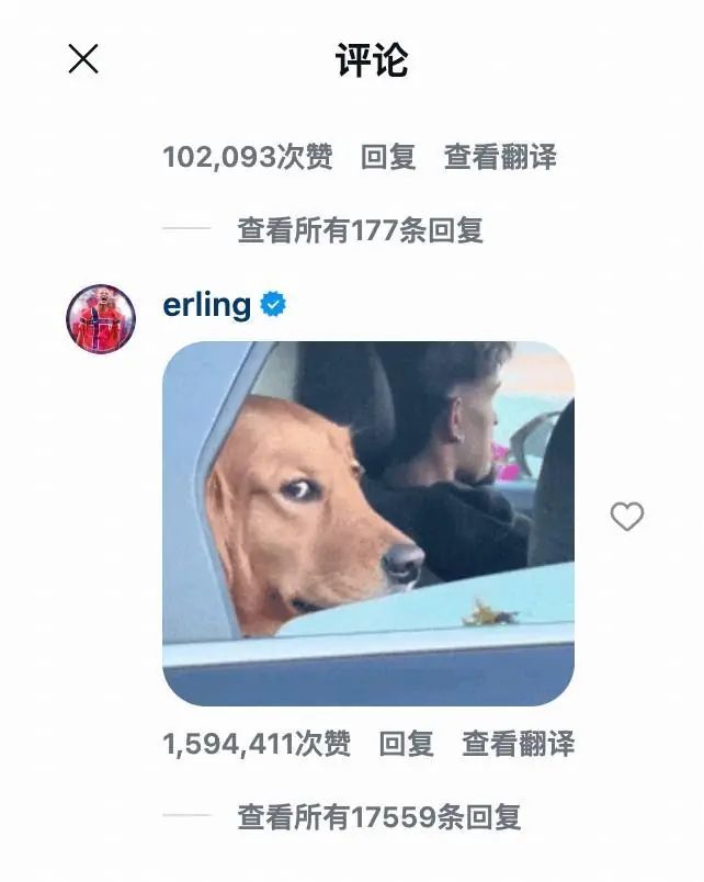 抽象！网友用一根葱模仿哈兰德，哈兰德回复了一个表情包