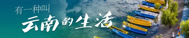 有一种“冠军”叫云南！丨有一种叫云南的生活之365天
