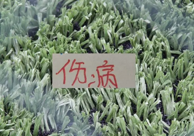 京鲁大战各有主力上不了！北京国安是张稀哲+王刚
