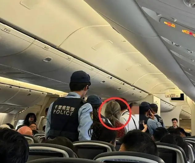 为全机降落买单！大妈万米高空撒泼，后续代价让全网极度舒适