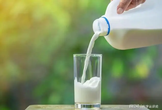 Nature研究：每天一杯奶，糖尿病风险降31%，喝了拉肚子的人反而受益