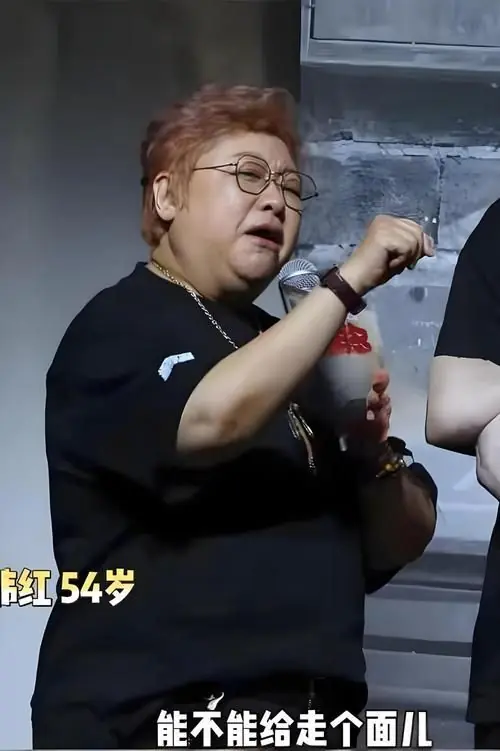 韩红说的涉嫌谎言究竟有多少?