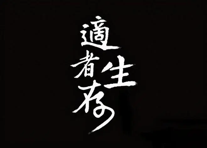 上海炒股冠军罕见发声：目前股市想要逢低建仓，建议死磕73原则！