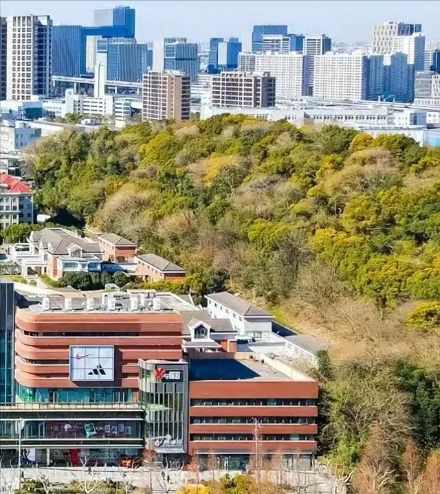 上海中环藏军事禁区荒山，紧邻百年老墓，为何永久不开放？