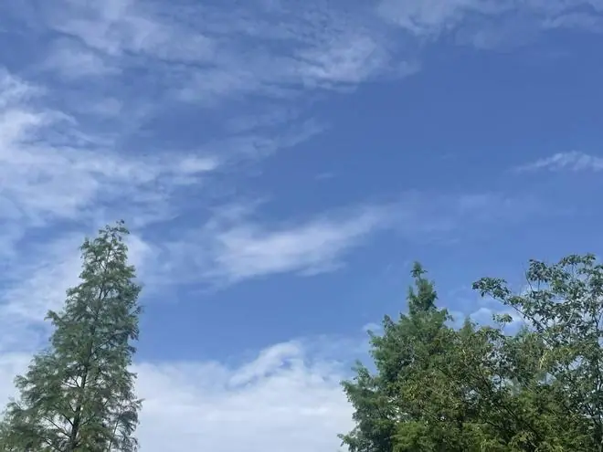 在过假夏天？武汉本世纪第二次入夏以来高温日为0！38℃！9日起高温连刷三天为夏正名