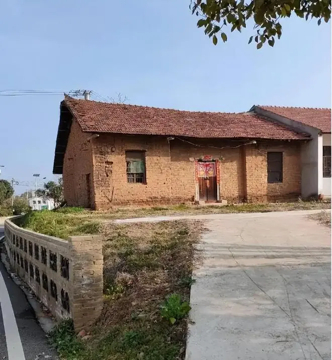 血腥黑产！河南“黑窝点”将活狮遭麻醉杀害剥皮，跨省非法售卖