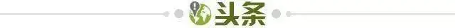 【早报】西班牙绝杀葡萄牙！41岁C罗最后一舞！