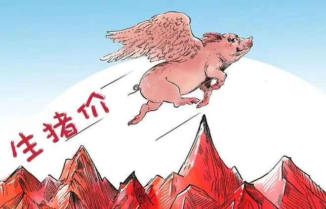 一夜起飞，猪价上涨“涨翻天”！附：7月1日猪价