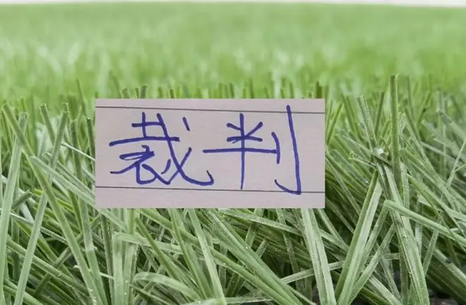 第17轮裁判安排公布 北京国安跟山东泰山重磅比赛 主裁是单丹奥