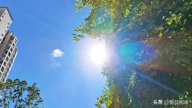 今年高温时间大变！最热不在七月初，熬完20天就凉快了