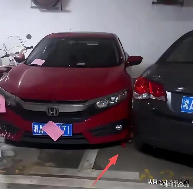官方通报来了！彭某某确为副处长，人已被停职，可选拔并无违规