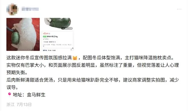 猫咪抱迷你冬瓜被吐槽货不对板！盒马方：已标注具体尺寸 图片仅供参考