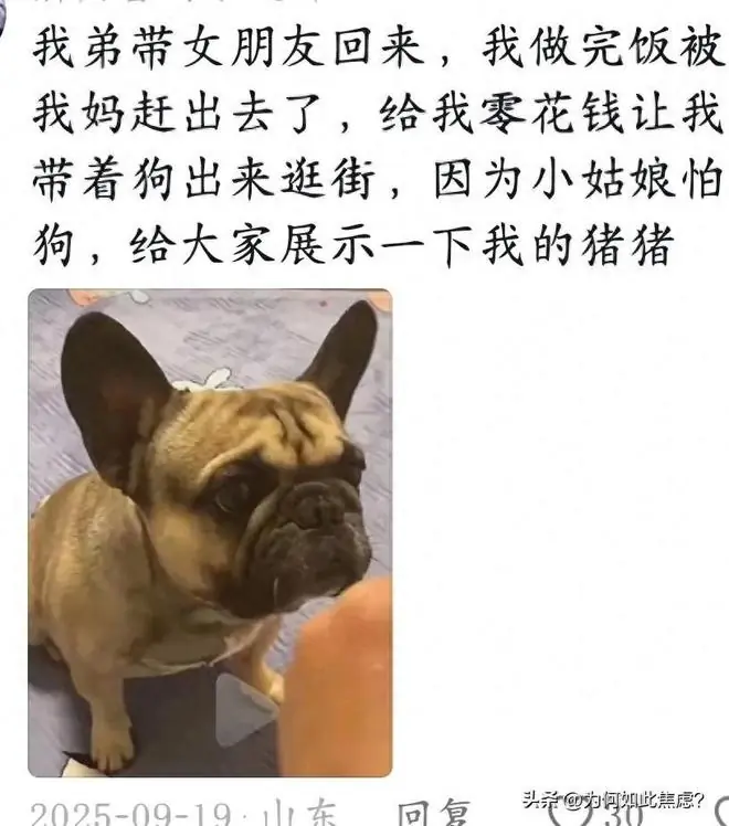 第一次带对象回家全家拼了：鸡屎要铲，狗洗两遍，弟弟被“流放”
