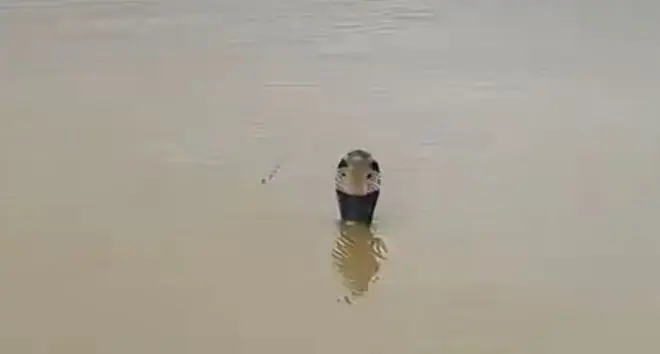 广西的考验还在后面