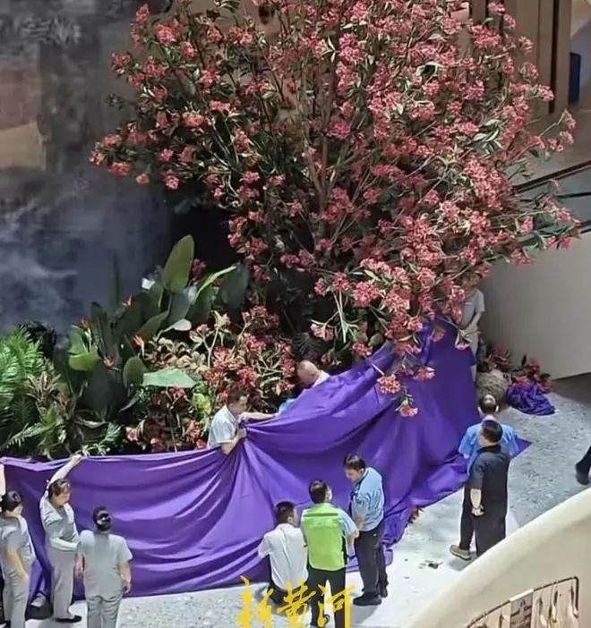 西安赛格跳楼事件后续：员工称头天老板还叫算工资，调查组已介入