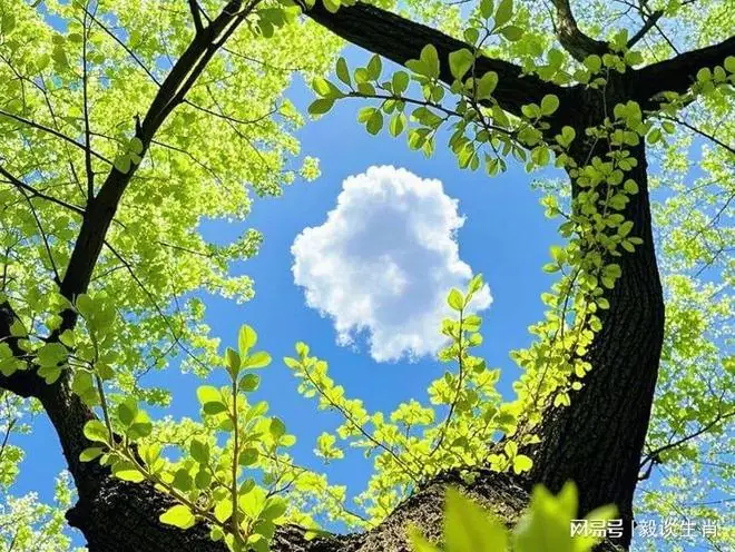 七月贵人运爆棚的3个生肖，会做人更得做事，想不发财都难！