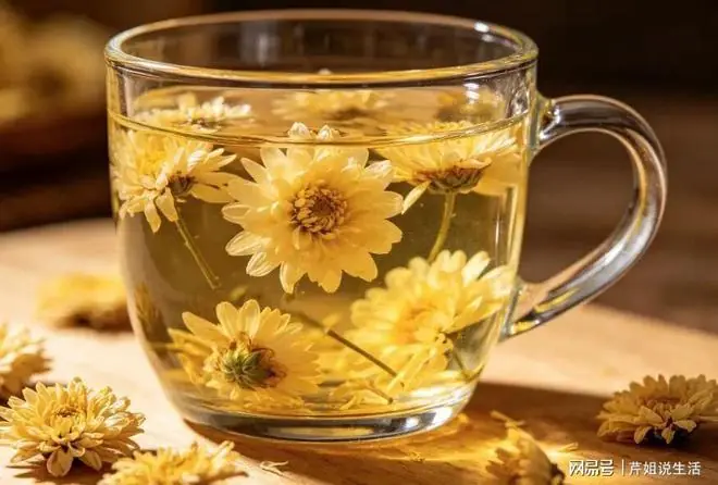 研究发现：菊花茶可以在一天内溶解血栓、扩张血管，是真的吗？