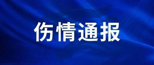 三镇噩耗:刘奕鸣遭第四掌骨骨折 9日上午完成手术