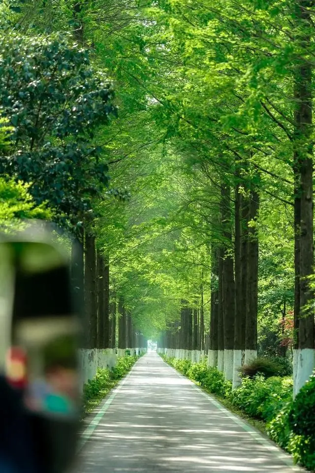 我定居非洲十五年，找过六个男人，发现非洲男人都有一个共同特点
