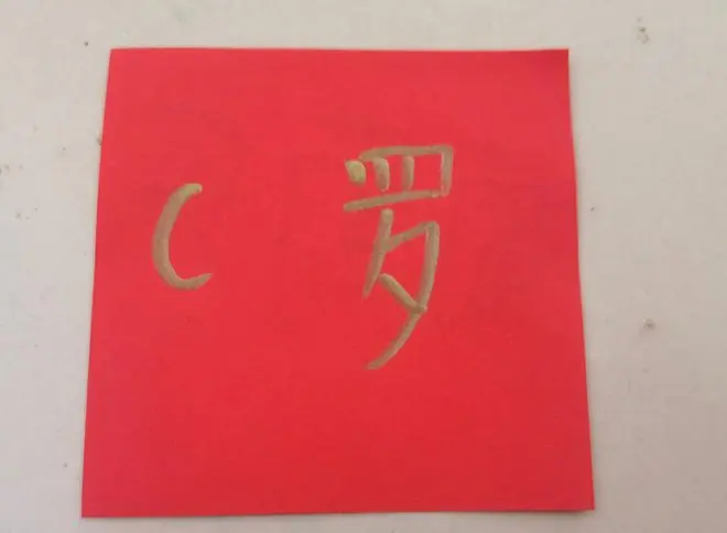 C罗姐姐接受采访 她弟弟美加墨世界杯后会退出国家队