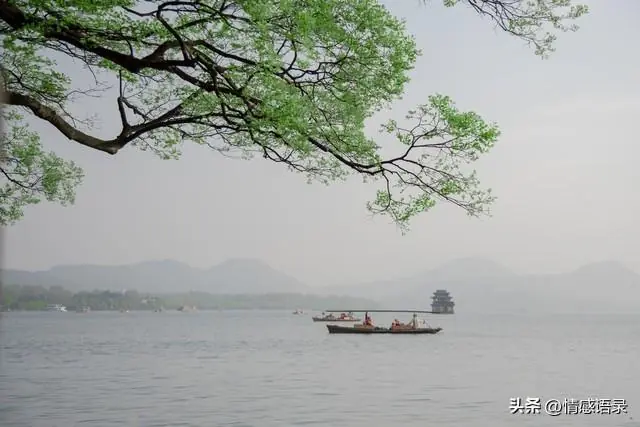 两性关系：不管你信不信，寿命长的男性，基本都有这8个习惯