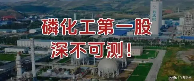 磷化工第一股，深不可测！