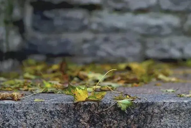 永远要记住，和周围人搞好关系的秘诀是学会三个“少”