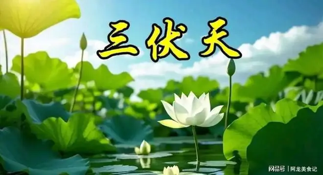 今年夏天是凉爽还是冷夏？答案来了