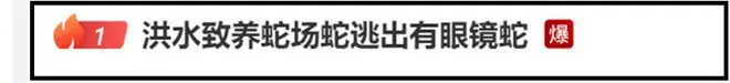 热搜爆了！广西洪水致900条眼镜蛇、水律蛇出逃……有灾民被咬伤