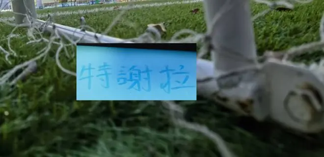 七月初！申花好消息不断 特谢拉复出 夏窗进货新中卫李松益