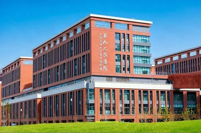 浦东医疗大爆发！多家三甲新院区2026年集中落地