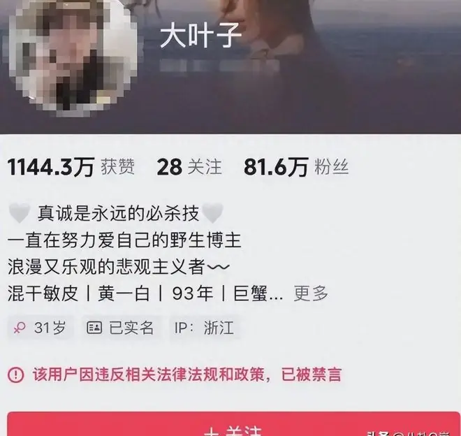 曾被封杀的4位网红，卖惨，炫富，割韭菜，没一个值得同情！