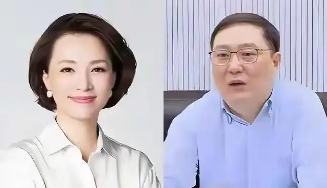 离婚12年，密春雷欠债9亿，原配金晶稳坐赢家，董卿落得满盘皆输