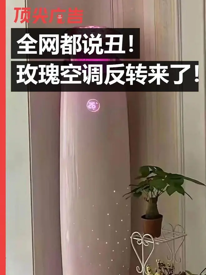 全网说丑的格力玫瑰空调，扇了网友一巴掌！