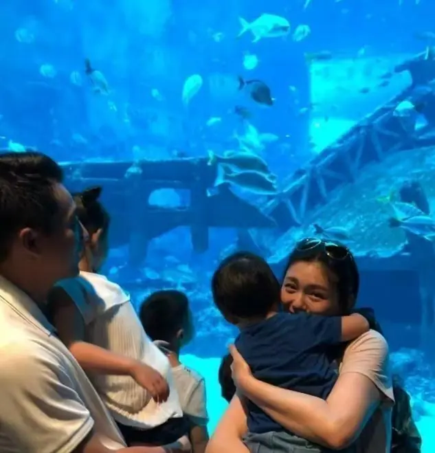 汪小菲律师终于公开发声了,这下网友彻底看明白了,谁在托举儿女谁把孩子当血包