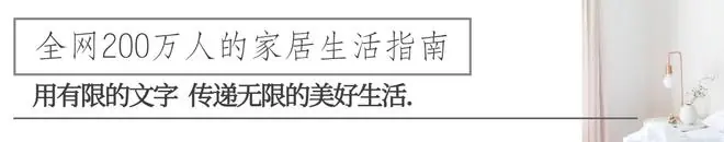第一次感受到“荔枝核的威力”，泡水里20天，长成“粉盆栽”